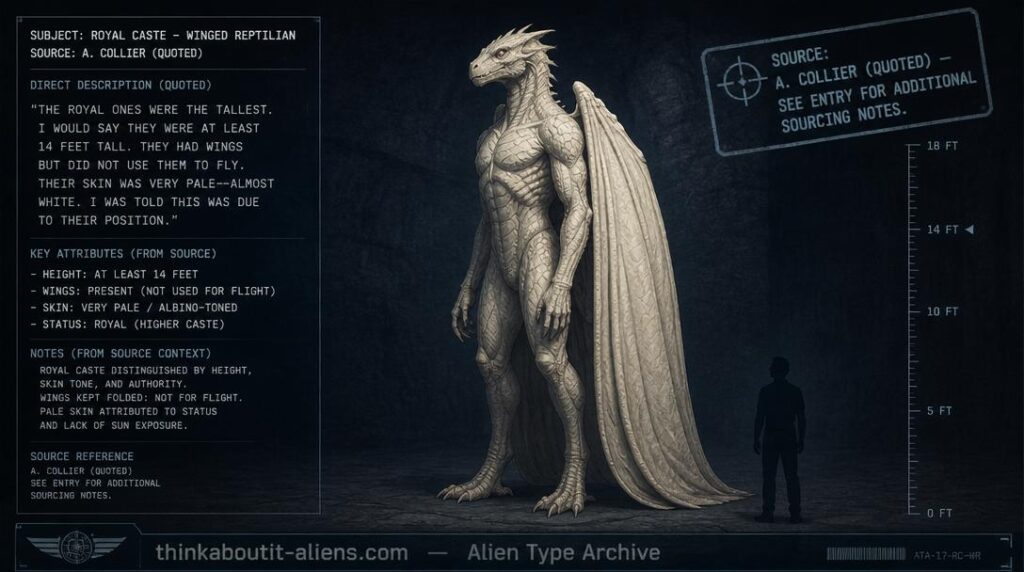 Archive illustration of a towering, winged, pale reptilian figure representing the Ciakar royal caste as described by contactee Alex Collier