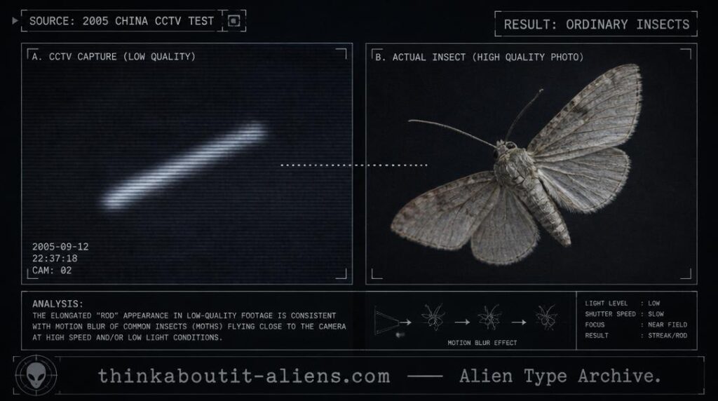 Side-by-side illustration comparing a blurred elongated rod shape in low-quality video to a sharp photograph of an ordinary moth in flight, styled as an explanatory archival dossier image