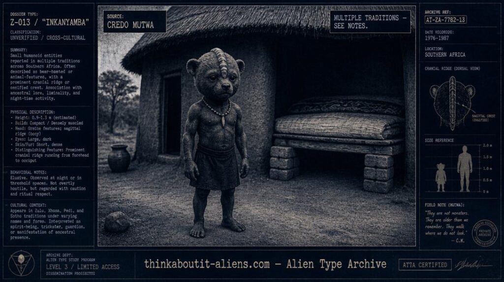Tokoloshe: Illustration of a small teddy-bear-headed humanoid figure with a bony cranial ridge standing near a traditional dwelling with a bed raised on bricks, styled as an archival dossier image