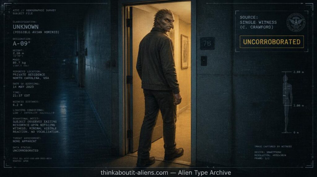 Tall humanoid figure with subtly eagle-like features turning away in a doorway, illustrating sculptor Cynthia Crawford's Anabua contactee account
