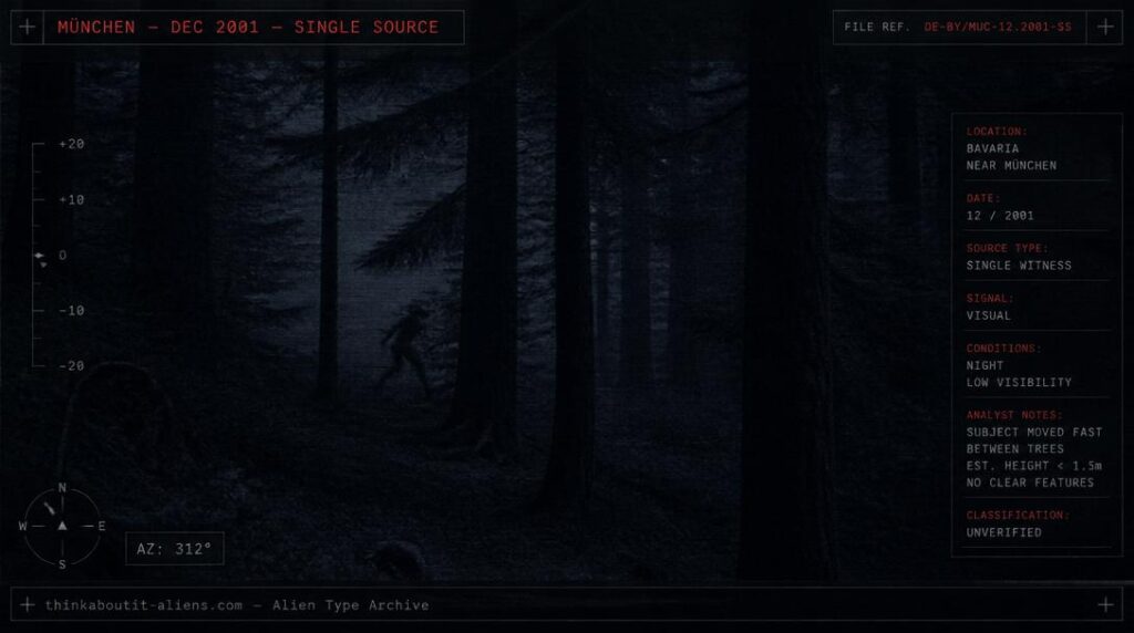 Illustration of the Ellina, small Elf-like forest beings reported near München in 2001