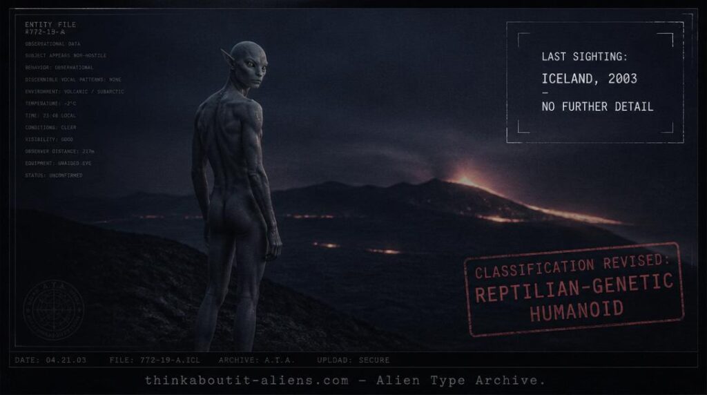 Dossier-style rendering of a slender hairless humanoid with pointed ears and cat-like eyes standing near a volcanic landscape, referencing the Kalenia's 2003 Iceland sighting
